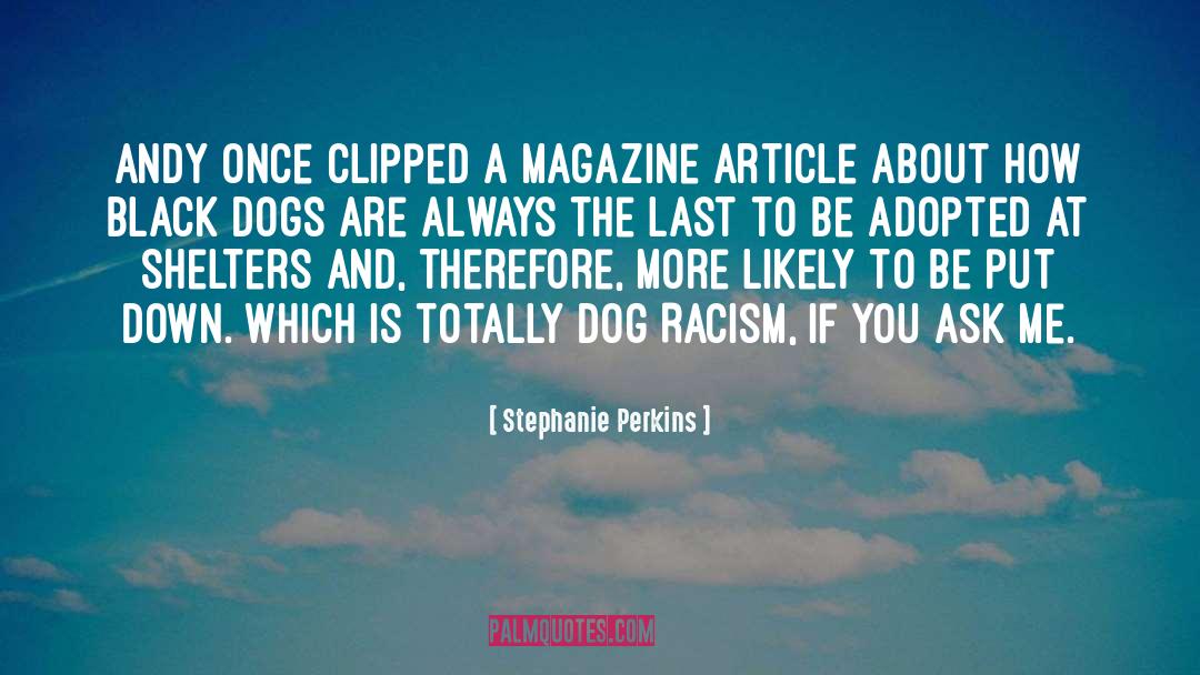 Black Dogs quotes by Stephanie Perkins