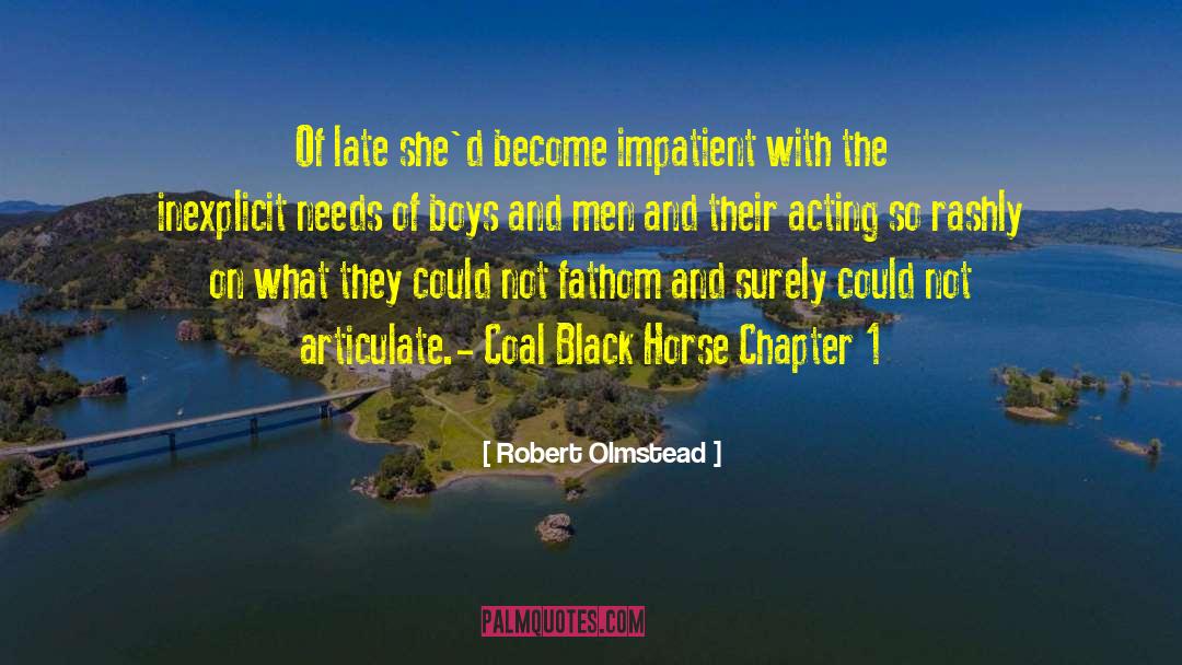 Black Exceptionalism quotes by Robert Olmstead
