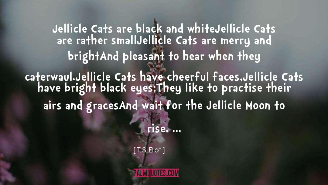 Black Eyes quotes by T. S. Eliot