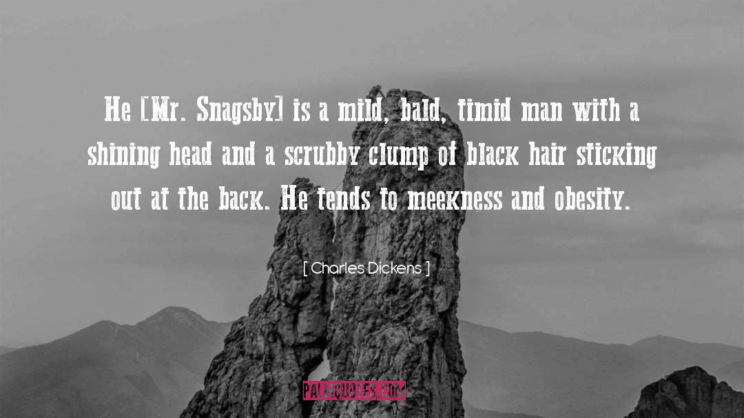 Black Hair Care quotes by Charles Dickens