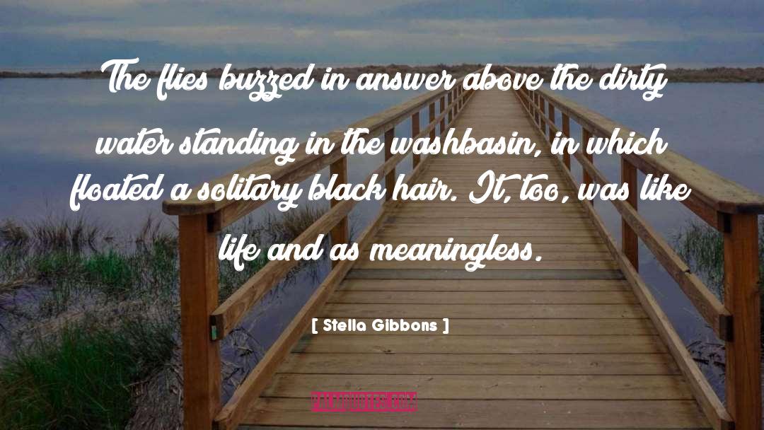 Black Hair quotes by Stella Gibbons