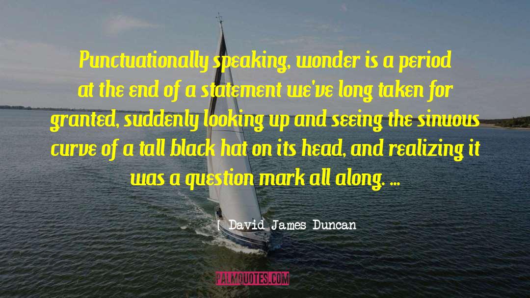 Black Hat quotes by David James Duncan
