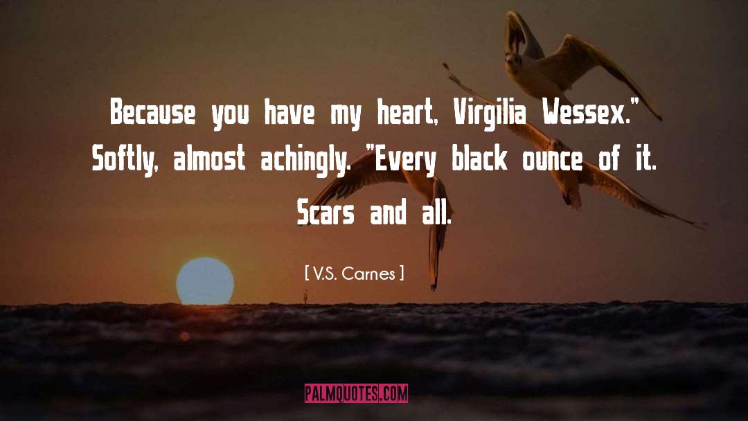 Black Hat quotes by V.S. Carnes