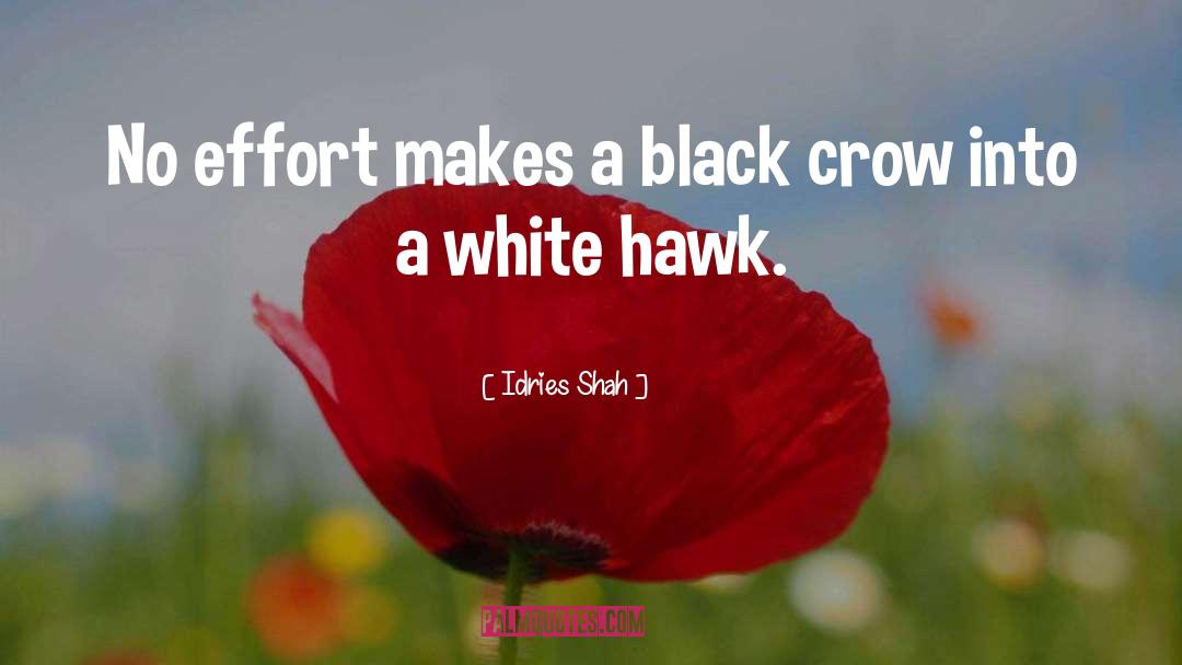 Black Hawk Down quotes by Idries Shah