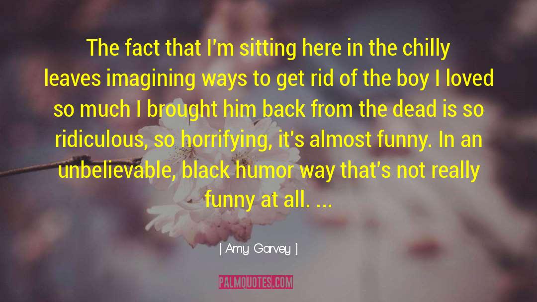 Black Humor quotes by Amy Garvey