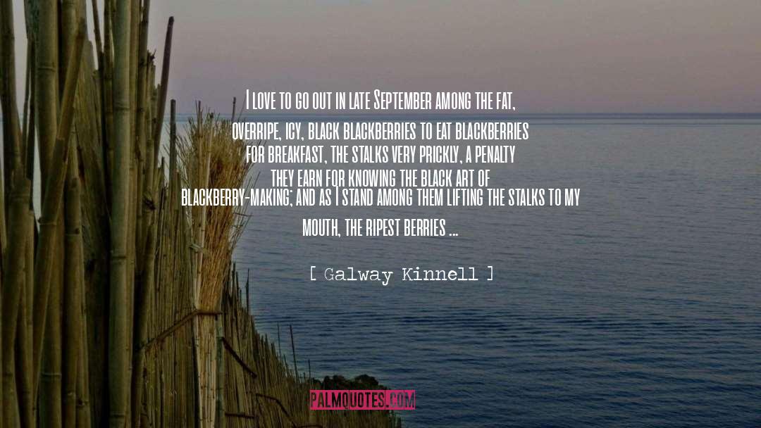 Black In America quotes by Galway Kinnell