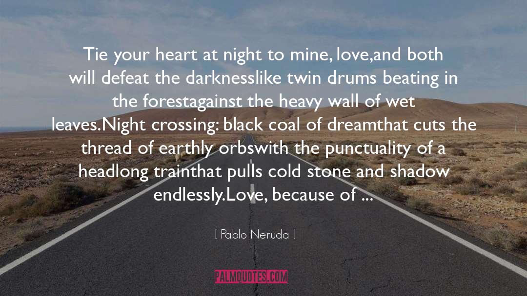 Black Lynx quotes by Pablo Neruda