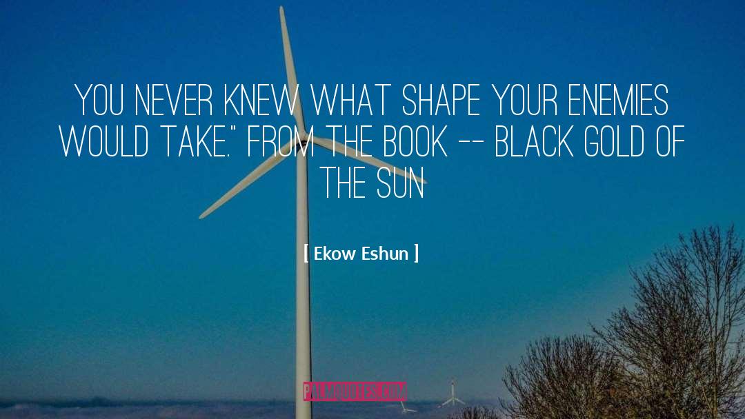 Black Metal quotes by Ekow Eshun