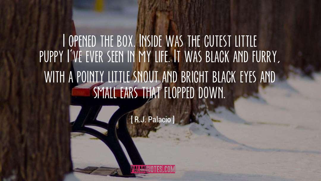 Black Motherhood quotes by R.J. Palacio