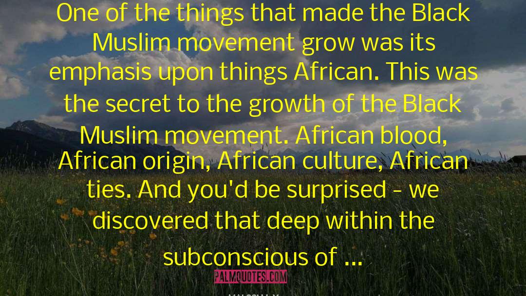 Black Muslim quotes by Malcolm X