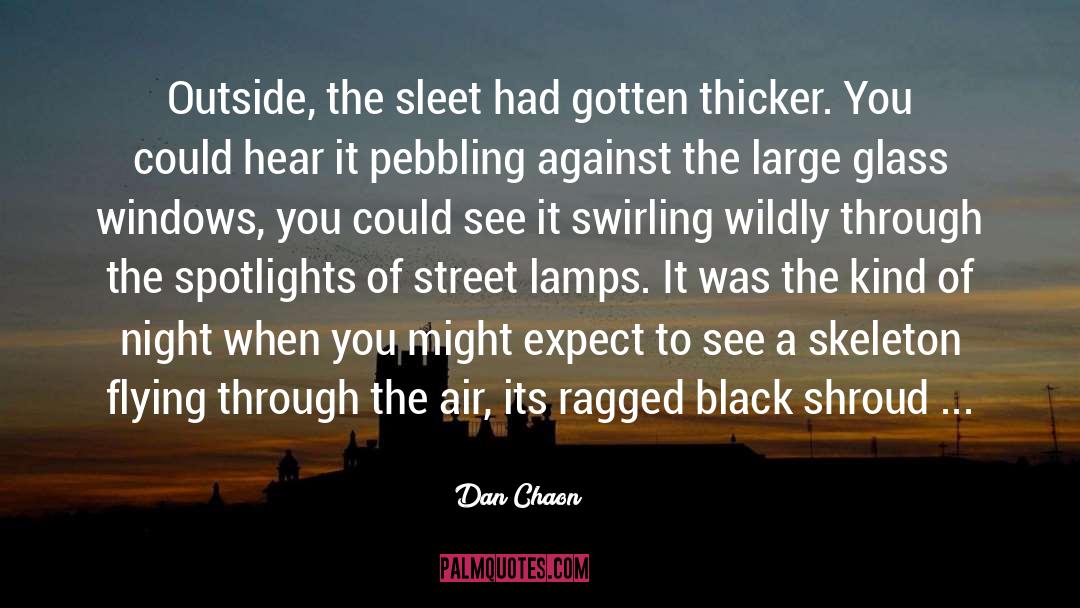 Black quotes by Dan Chaon