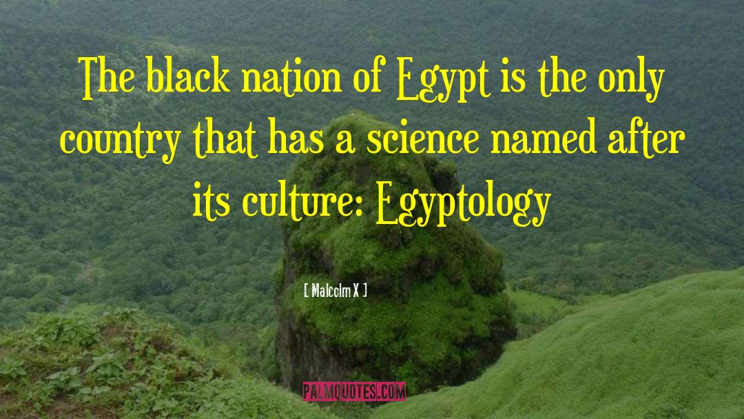 Black Science Man quotes by Malcolm X