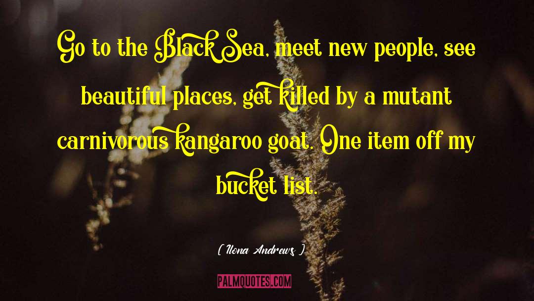 Black Sea quotes by Ilona Andrews