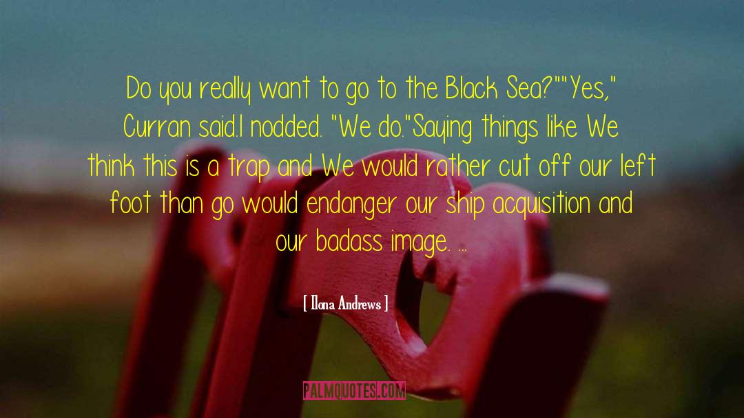 Black Sea quotes by Ilona Andrews