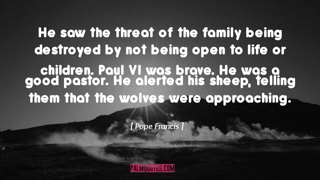 Black Sheep Of The Family quotes by Pope Francis