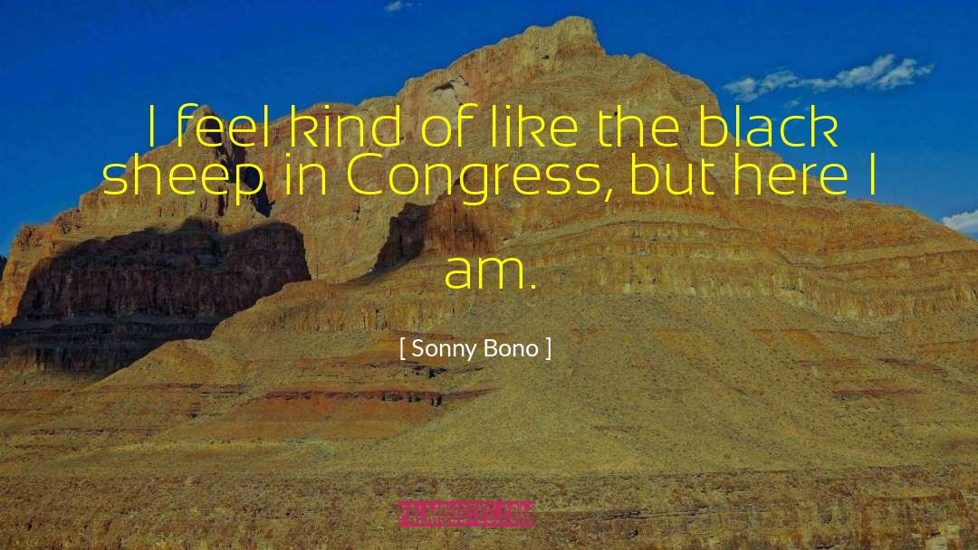 Black Sheep Of The Family quotes by Sonny Bono