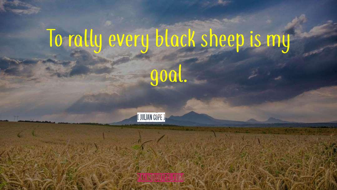 Black Sheep quotes by Julian Cope