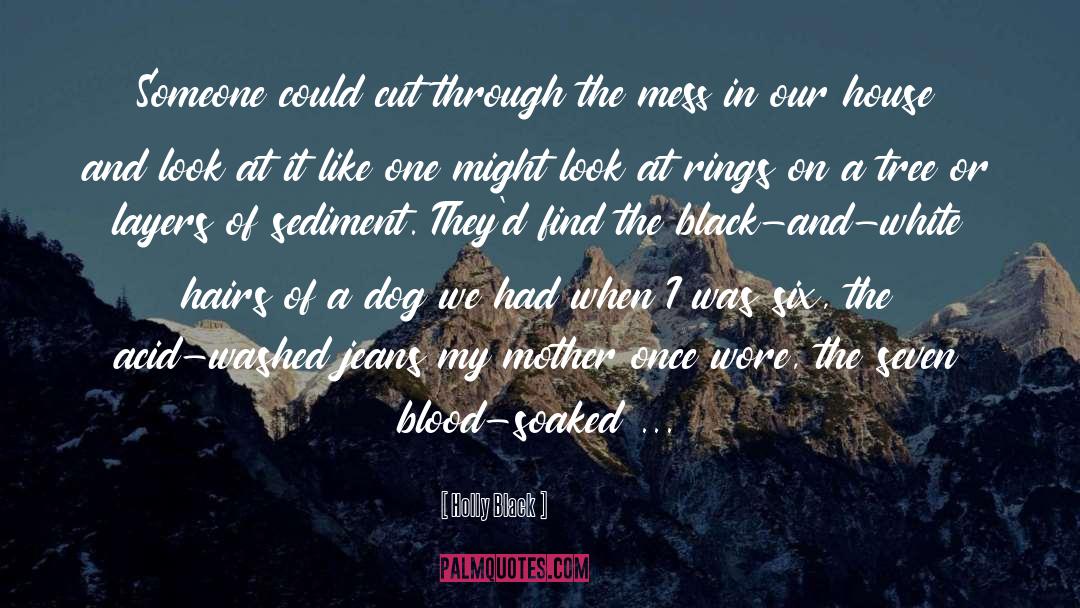 Black Skinned Aliens quotes by Holly Black