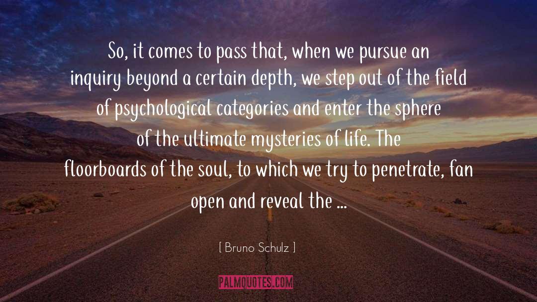 Black Soul quotes by Bruno Schulz