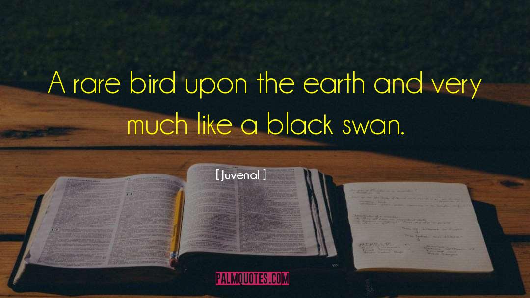 Black Swan quotes by Juvenal