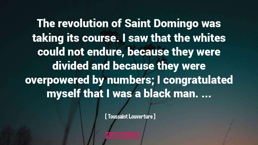Black Swan quotes by Toussaint Louverture