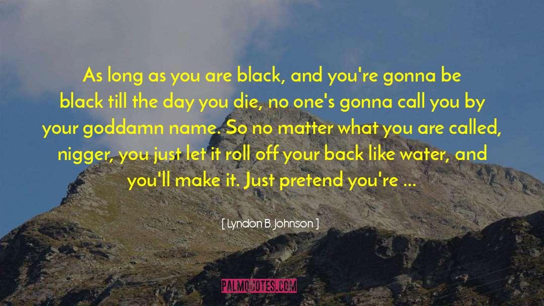 Black Trans quotes by Lyndon B. Johnson