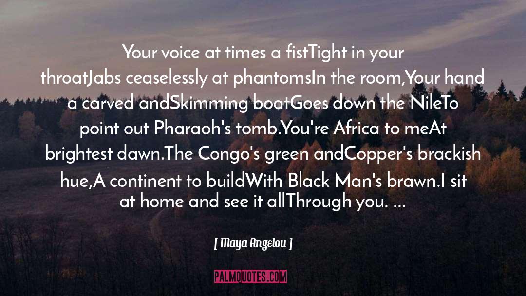 Black Veined Jasper quotes by Maya Angelou