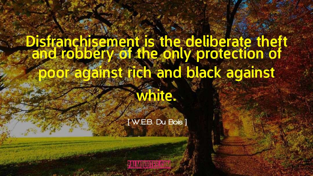 Black Voting quotes by W.E.B. Du Bois