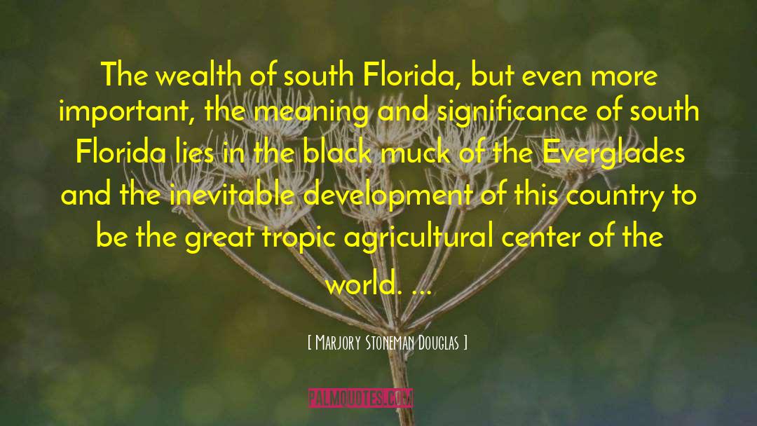 Black Wealth quotes by Marjory Stoneman Douglas