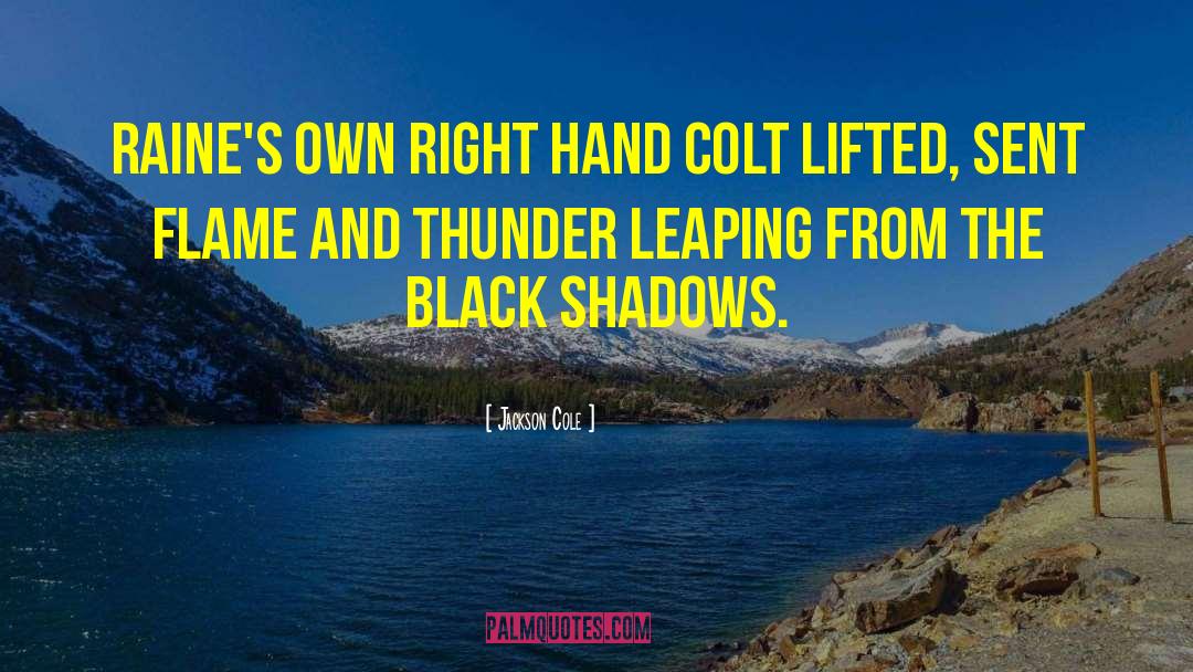 Black Wealth quotes by Jackson Cole