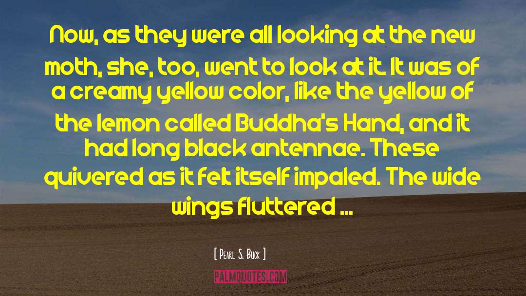 Black Wings Beating quotes by Pearl S. Buck