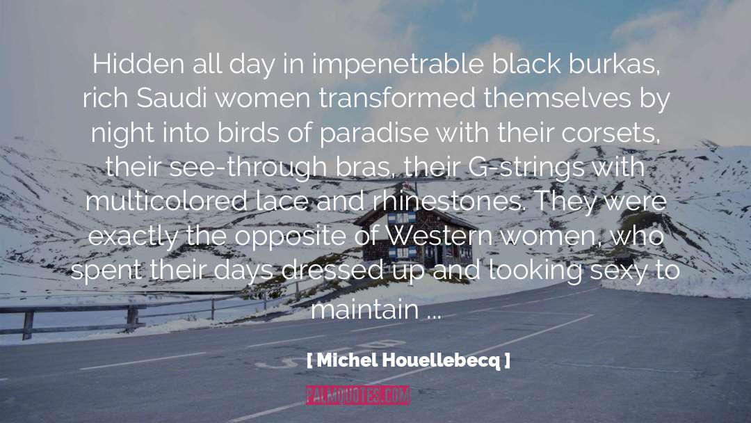 Black Women Vote quotes by Michel Houellebecq