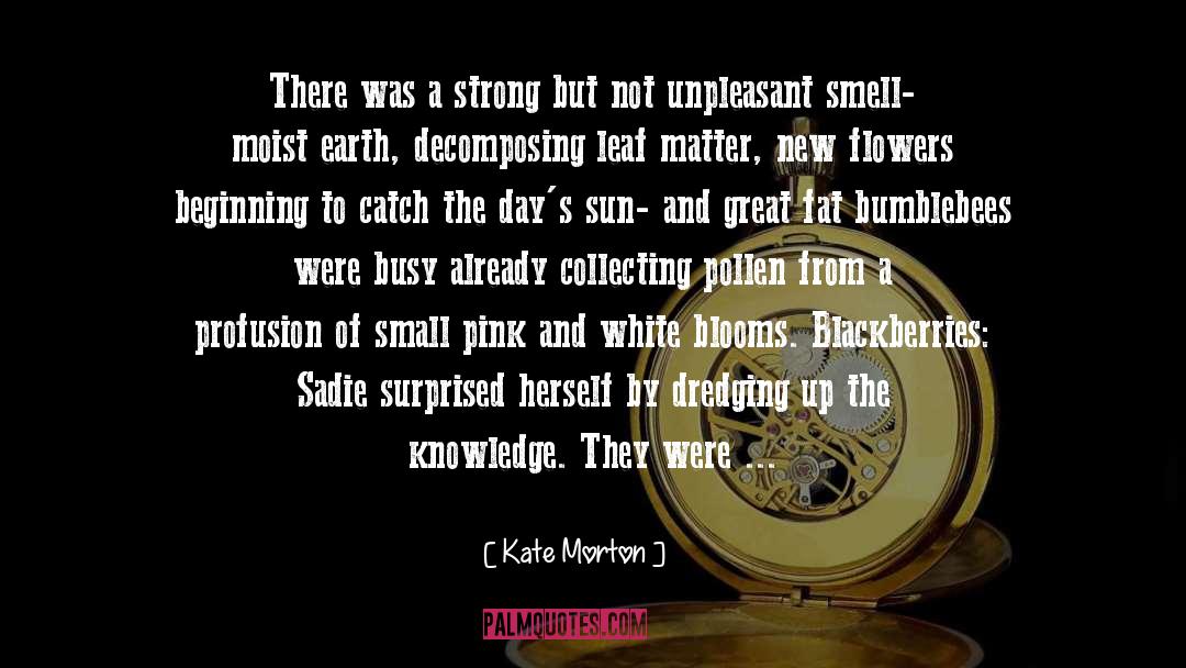 Blackberries quotes by Kate Morton