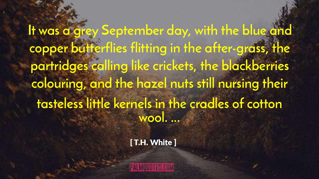 Blackberries quotes by T.H. White