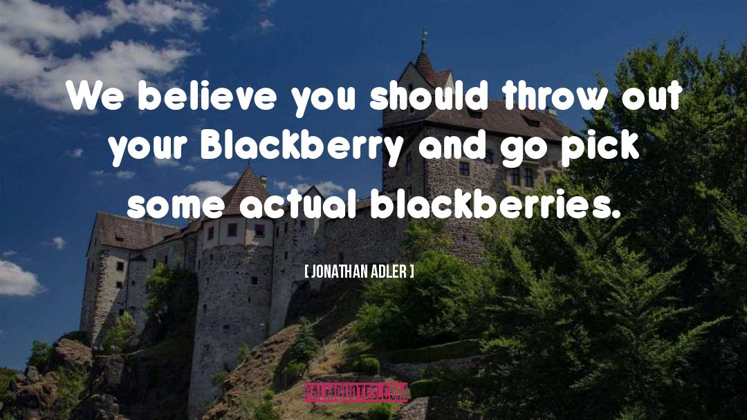Blackberries quotes by Jonathan Adler