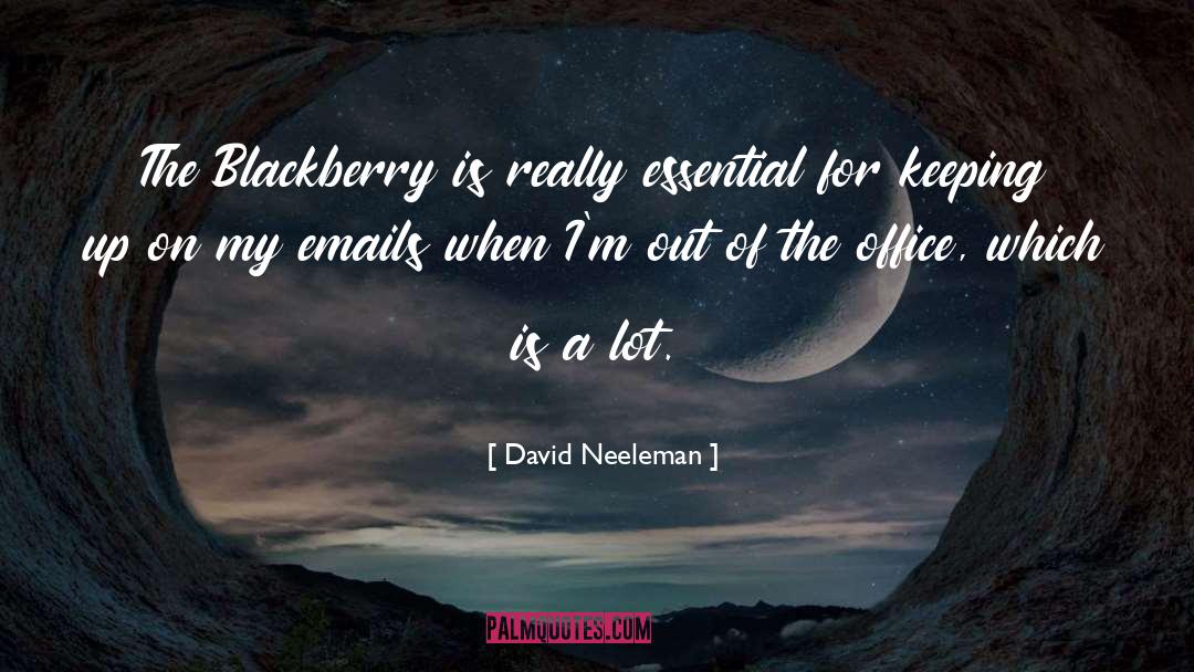 Blackberries quotes by David Neeleman