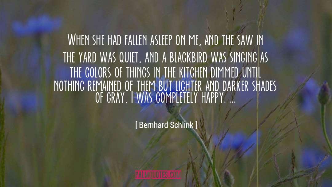 Blackbird quotes by Bernhard Schlink