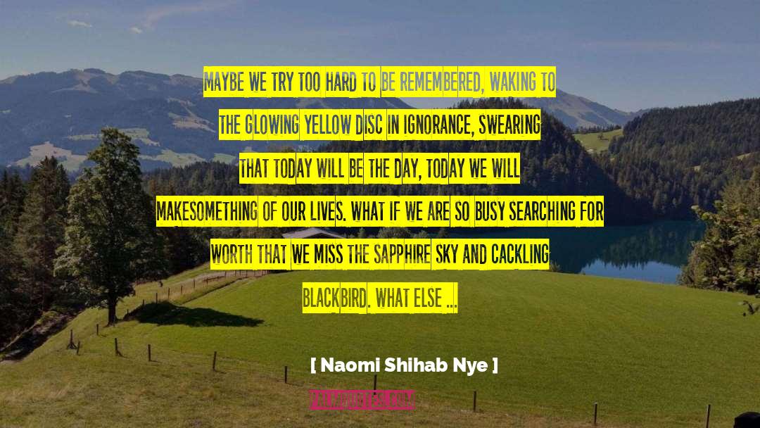 Blackbird quotes by Naomi Shihab Nye