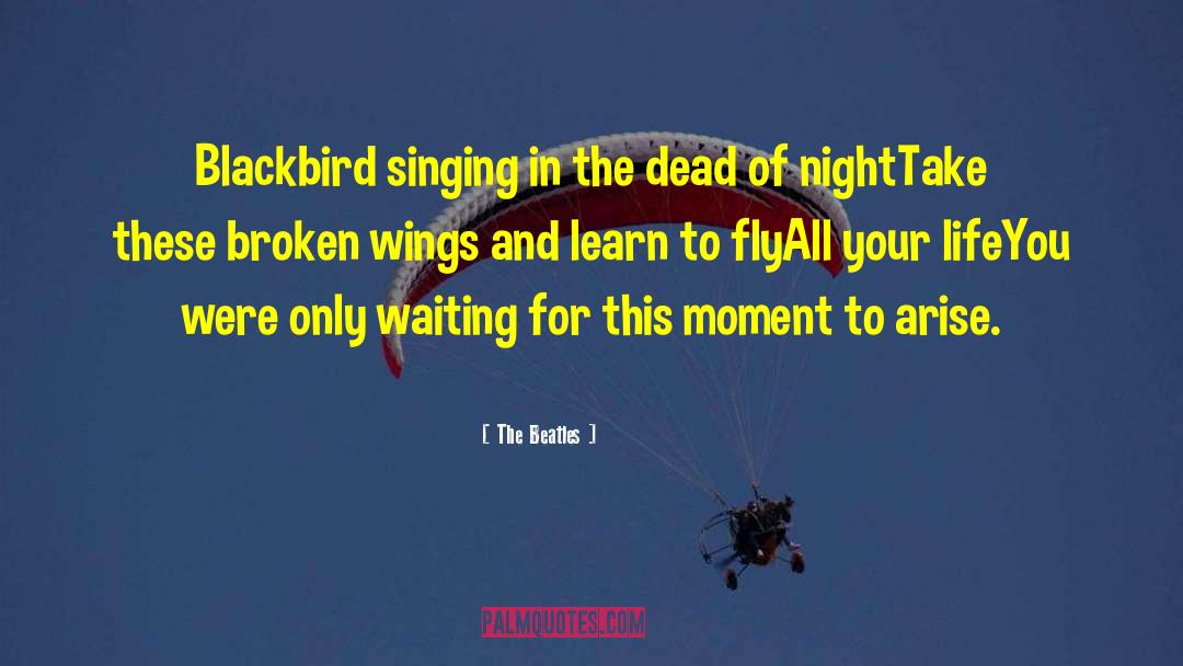 Blackbird quotes by The Beatles
