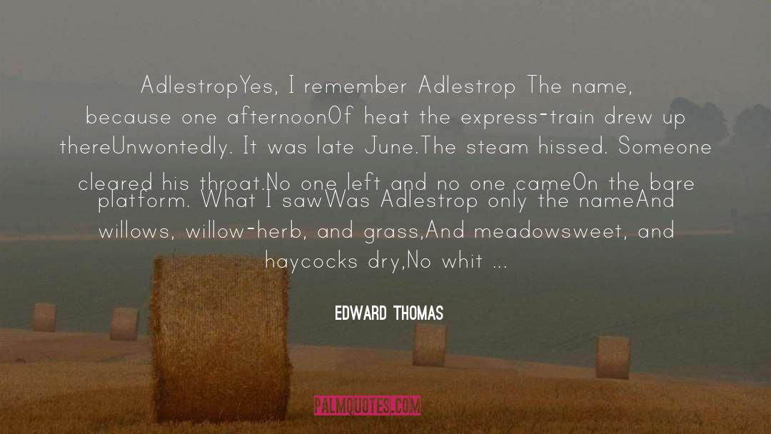 Blackbird quotes by Edward Thomas