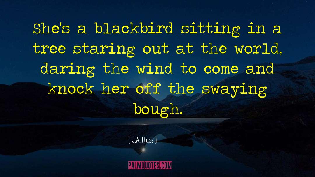Blackbird quotes by J.A. Huss
