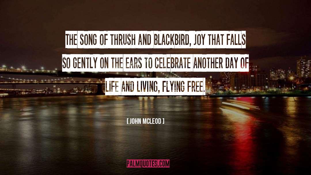 Blackbird quotes by John McLeod