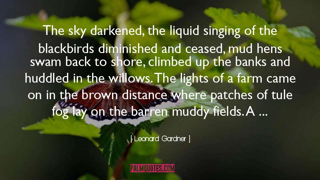 Blackbirds quotes by Leonard Gardner