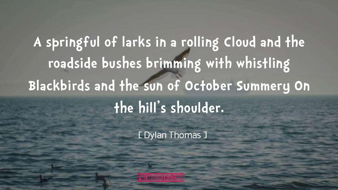 Blackbirds quotes by Dylan Thomas