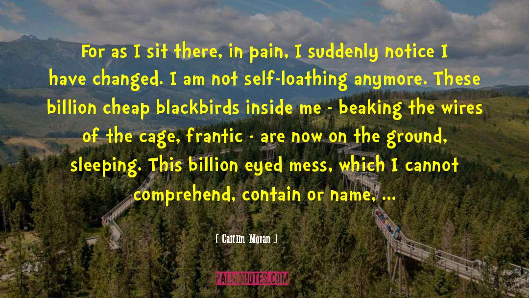 Blackbirds quotes by Caitlin Moran