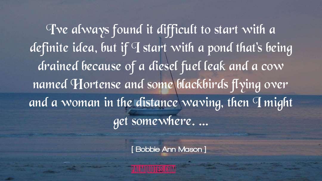 Blackbirds quotes by Bobbie Ann Mason