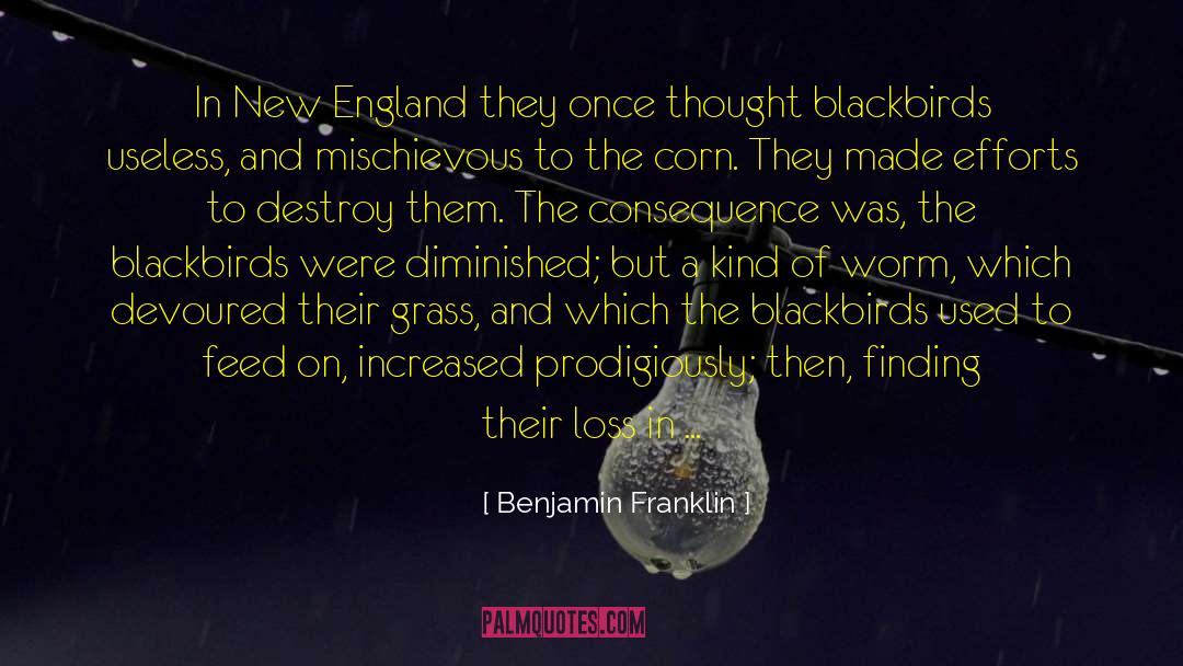 Blackbirds quotes by Benjamin Franklin