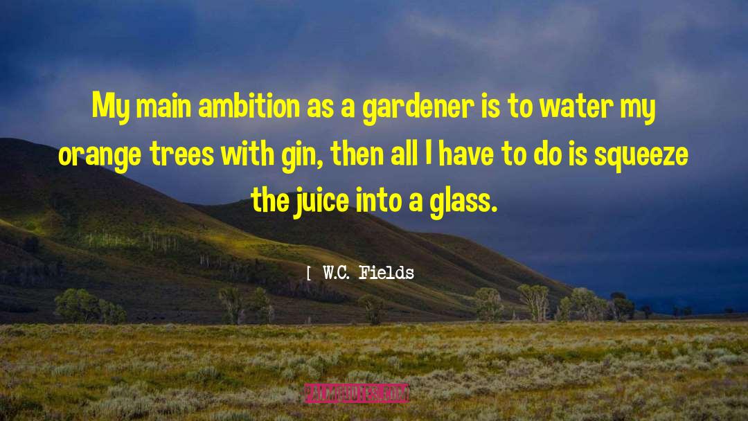 Blackcurrant Juice quotes by W.C. Fields