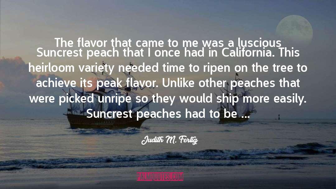 Blackcurrant Juice quotes by Judith M. Fertig