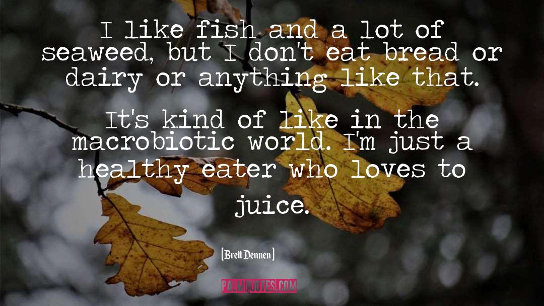 Blackcurrant Juice quotes by Brett Dennen